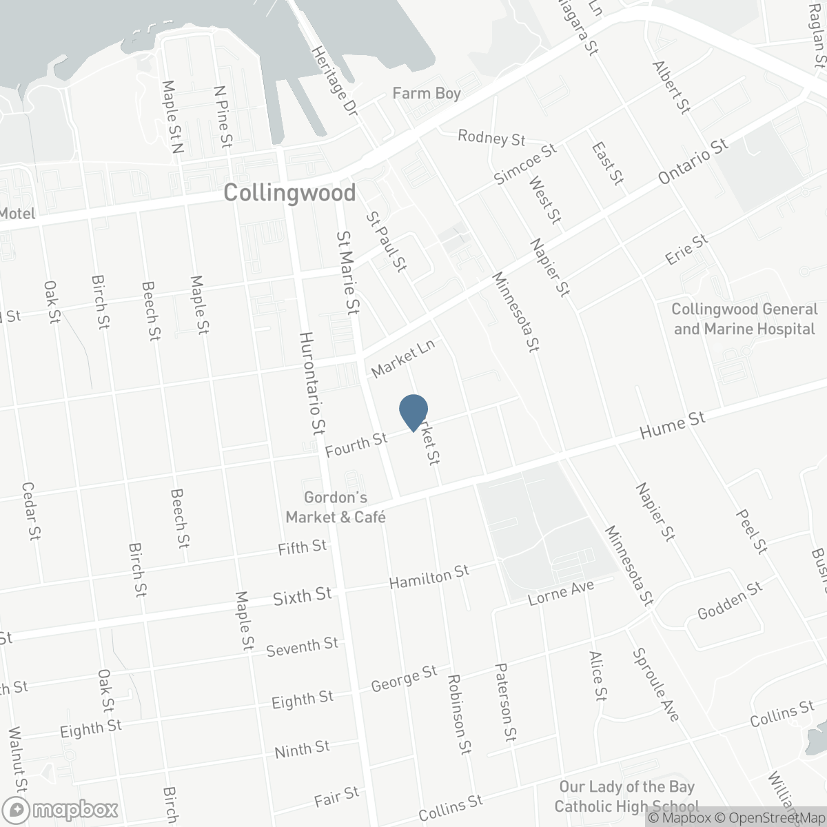 58 MARKET STREET, Collingwood, Ontario L9Y 3M6